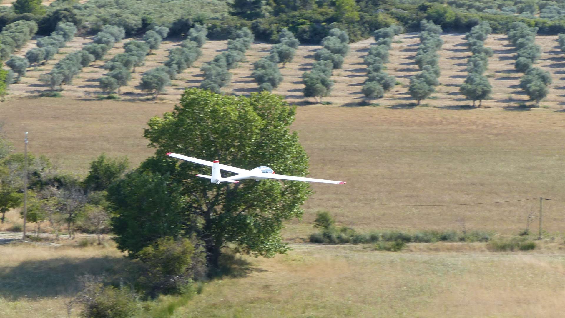 150822-alpilles-144.jpg