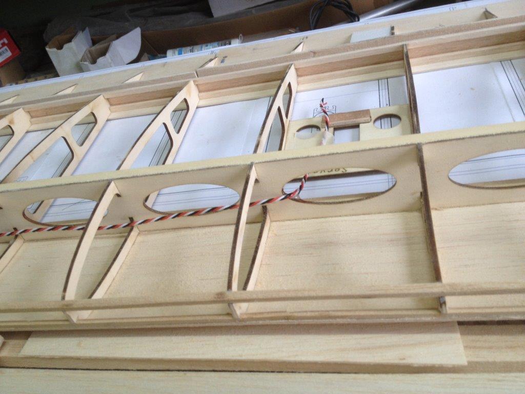 IMG_1996.jpg