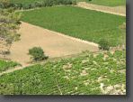 03-07-06-la-roque-14.jpg