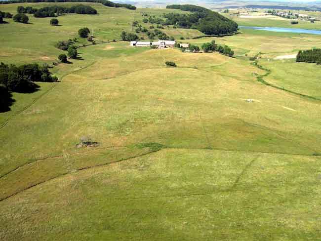 aubrac-b-2.jpg