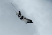 210525-ba118-ad_20.JPG