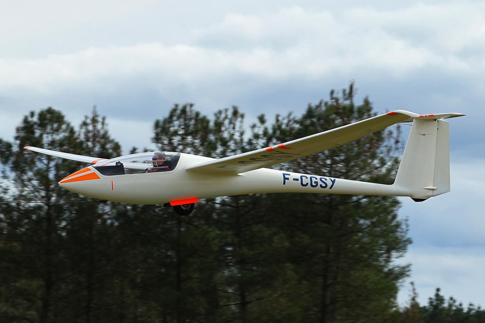 230225-rion-ad1523.jpg