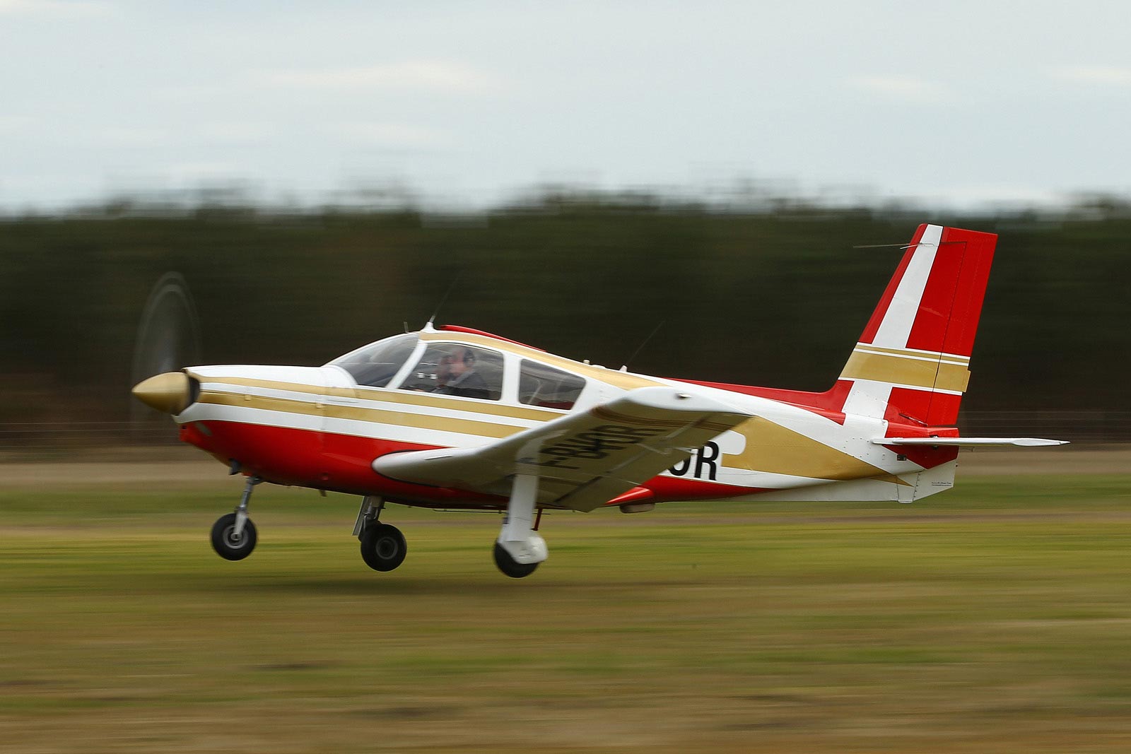 230225-rion-ad1543.jpg