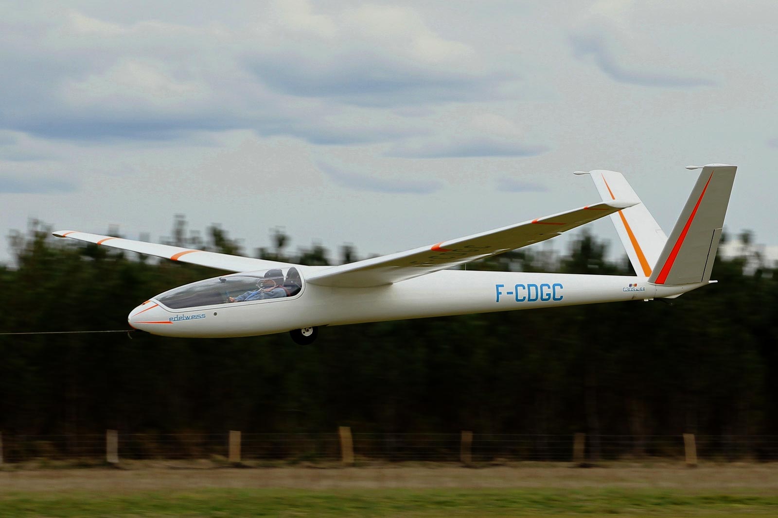 230225-rion-ad1587.jpg