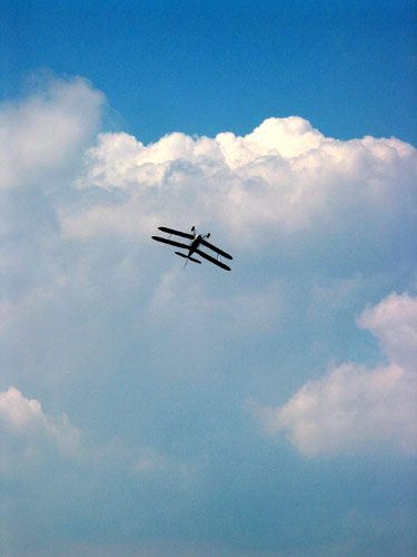 03-06-06-stampe-ls-60.jpg