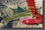 vache_en_montagne-1.jpg