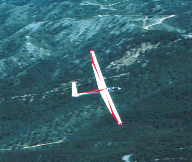 03-05-03_edelweiss-1.jpg