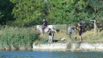 200822-barreau-0518.jpg