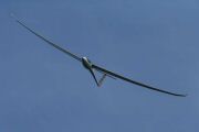 210508-GPFP_21.JPG