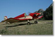 080626-romanin-08.jpg