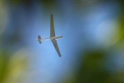 150819-romanin-293.jpg