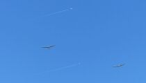 150820-romanin-794.jpg