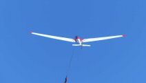 200814-romanin-794.jpg
