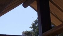 200814-romanin-817.jpg