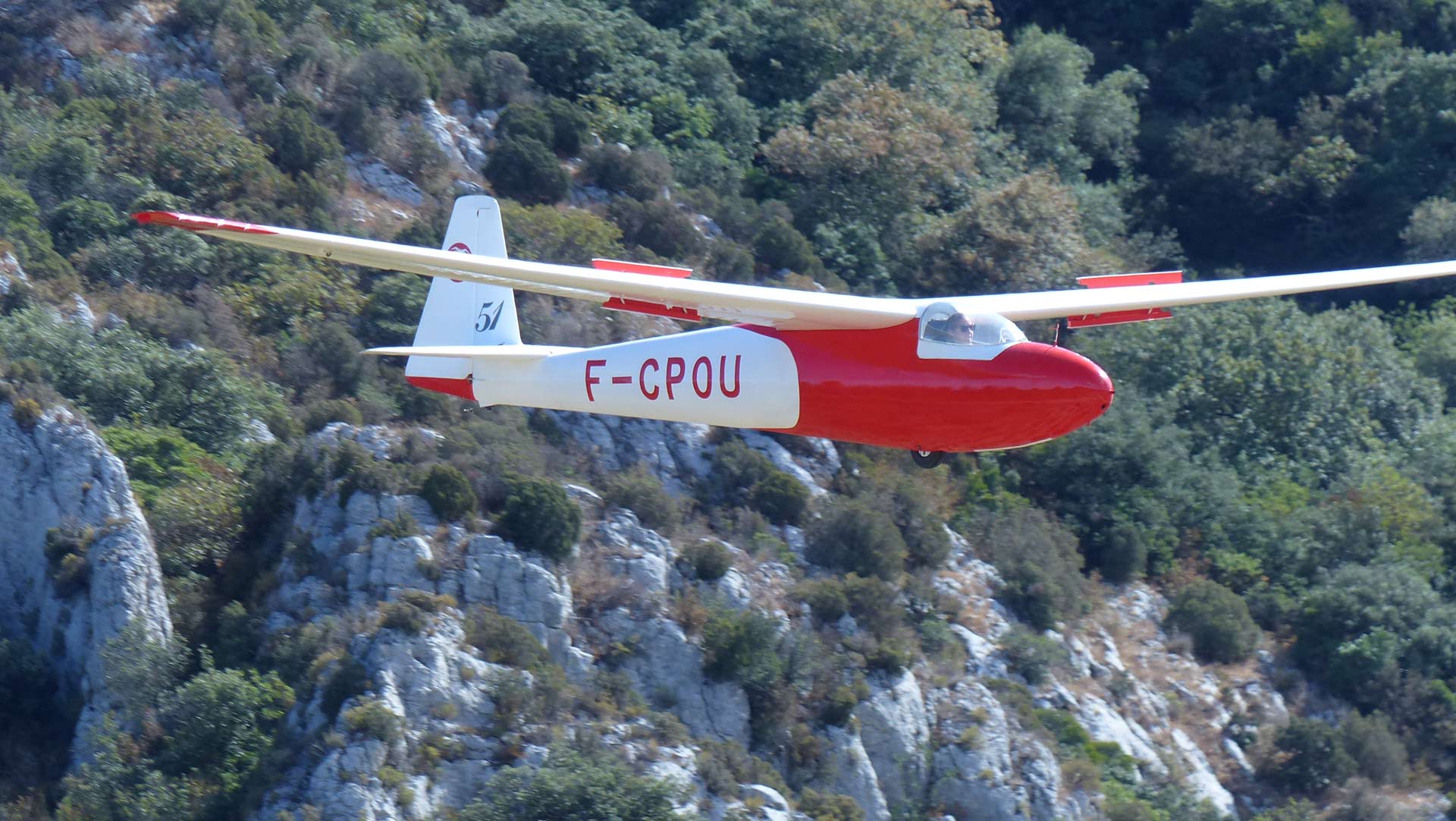 200830-romanin-gr1819.jpg