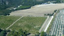200901-romanin-gr-0821.jpg
